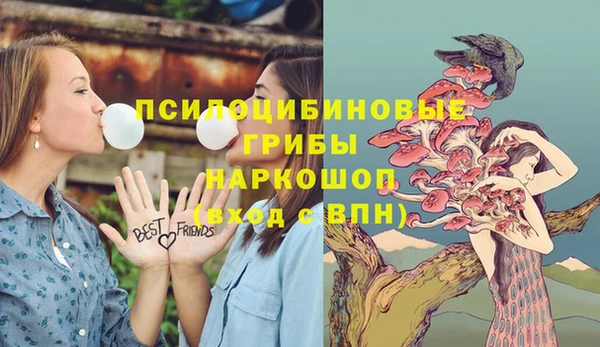 бошки Абаза