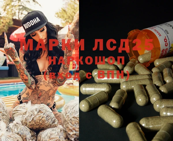 стаф Алексин