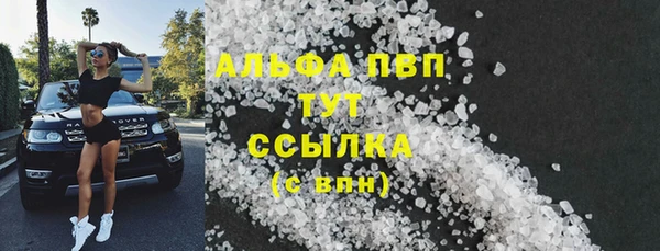 стаф Алексин