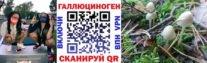Галлюциногенные грибы Psilocybine cubensis  Кирсанов 